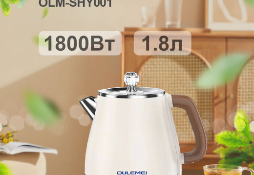 Чайник электрический